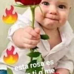 Meet your Posher, Ricardo